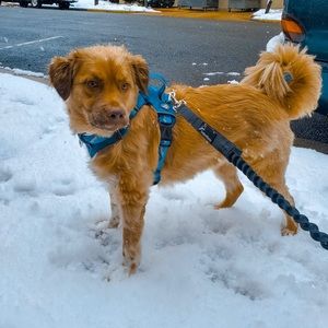 Meet your Posher, Catherine elise